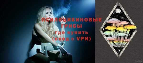 ГАЛЛЮЦИНОГЕННЫЕ ГРИБЫ Арсеньев