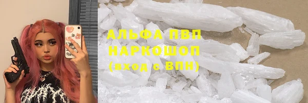 ешки Аркадак