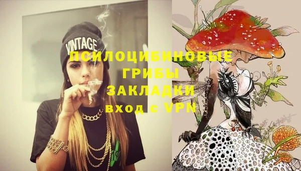 ешки Аркадак