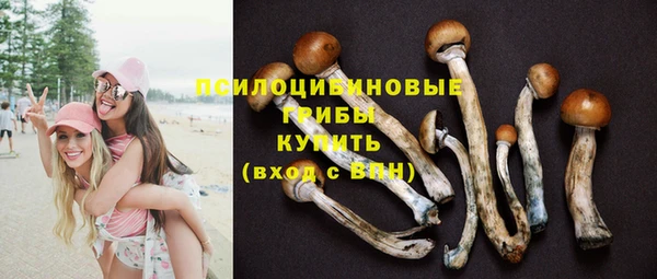 ешки Аркадак
