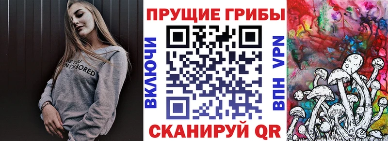 Псилоцибиновые грибы ЛСД  где продают наркотики  Фатеж 